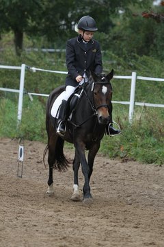 Bild 953 - WBO-Turnier am 18.9.11